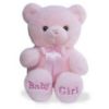 Picture of Teddy Bear Baby Boy/ Baby Girl